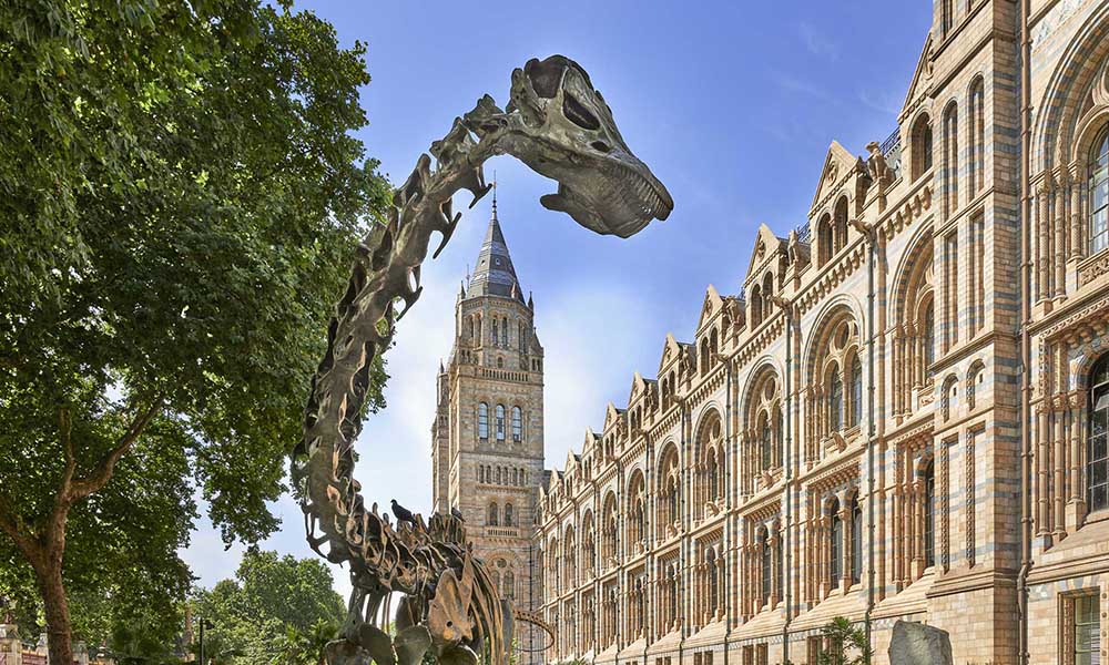 Natural History, Science and Victoria & Albert Museums