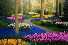 Keukenhof Gardens and Dutch Delights - 5 days